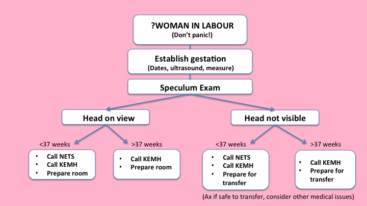 Birth Algorithm