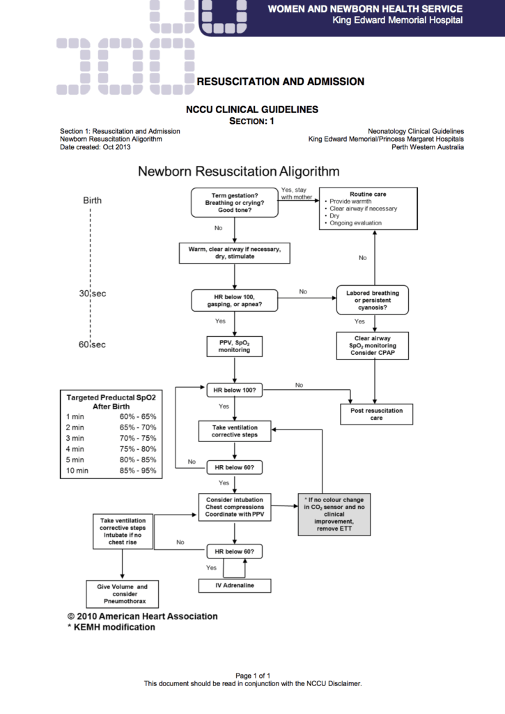 KEMH Neonatal Resucitation Algorithm