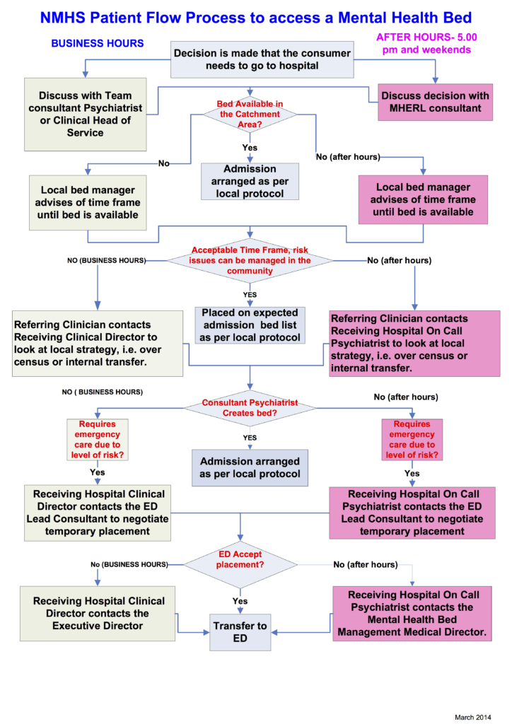 Visio-NMHS Updated Bedflow Chart 260314